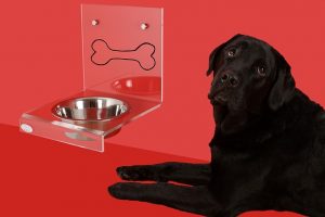 best dog food for sensitive stomach-vomiting