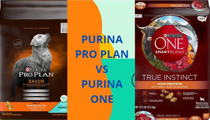 purina pro plan vs purina one