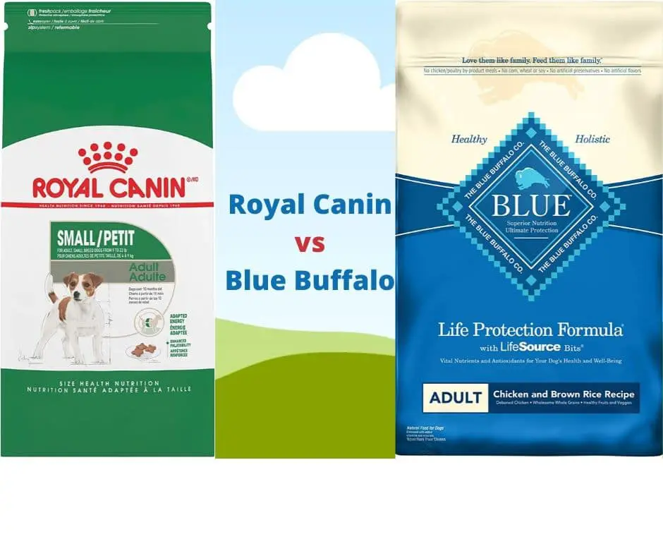 Royal Canin vs Blue Buffalo