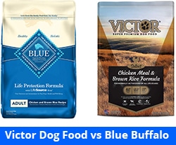 victor dog food vs blue buffalo