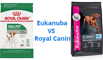 Eukanuba vs Royal Canin