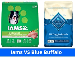Iams VS Blue Buffalo