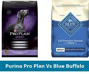 Purina pro plan vs blue buffalo