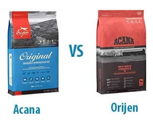 Acana vs Orijen: Let’s Compare the Best for Your Dogs!