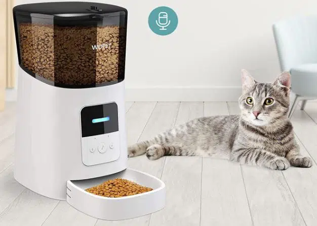 best automatic dog feeders