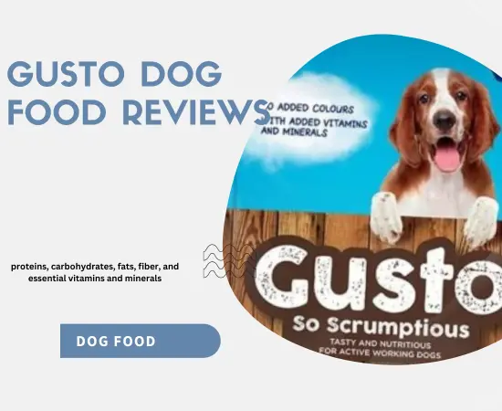 gusto dog food