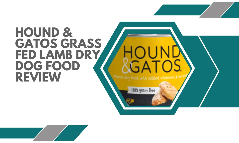 Hound & Gatos Grass Fed Lamb Dry Dog Food Review